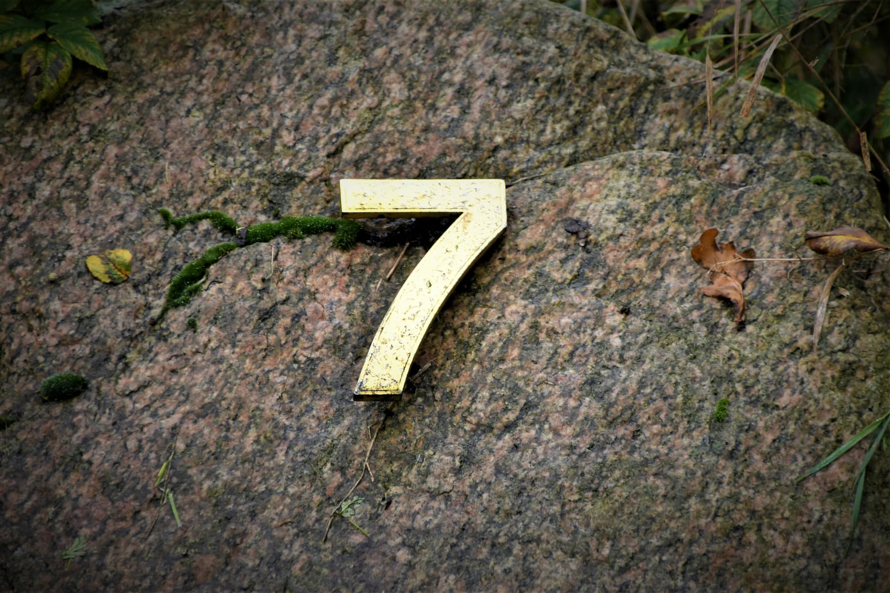 The Overlooked Statement Piece: How House Numbers Are Transforming Home Exteriors